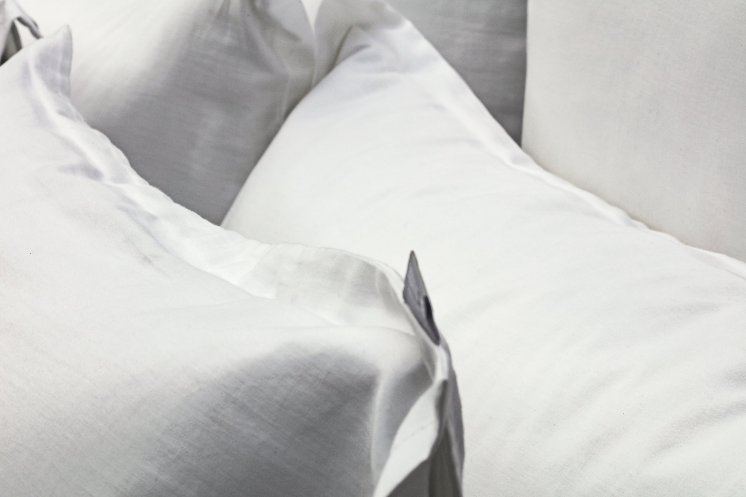 Lexington Hotel Cotton/Mulberry Silk Sateen Pillowcase